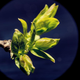 Illustration for article titled 21 Stupendous Photos of Spring